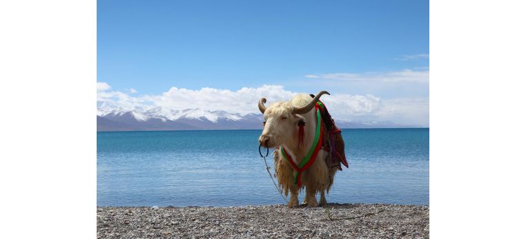 Namtso Lake